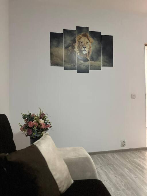 Apartament La Flo 胡内多阿拉 外观 照片