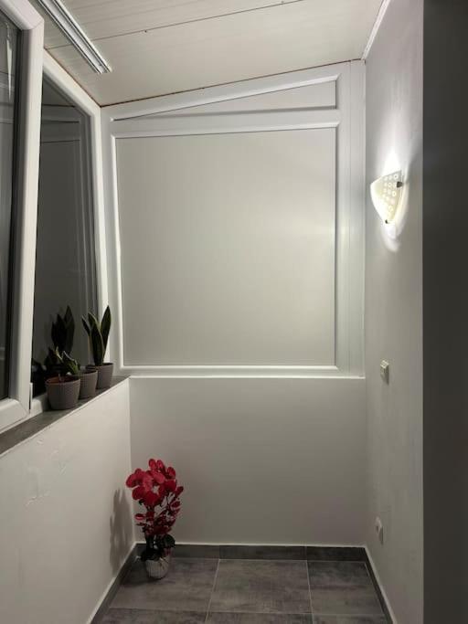 Apartament La Flo 胡内多阿拉 外观 照片